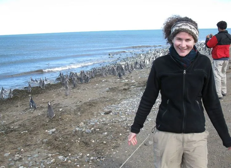 פינגווינים באי מגדלנה