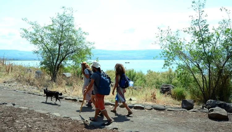 שביל סובב כינרת