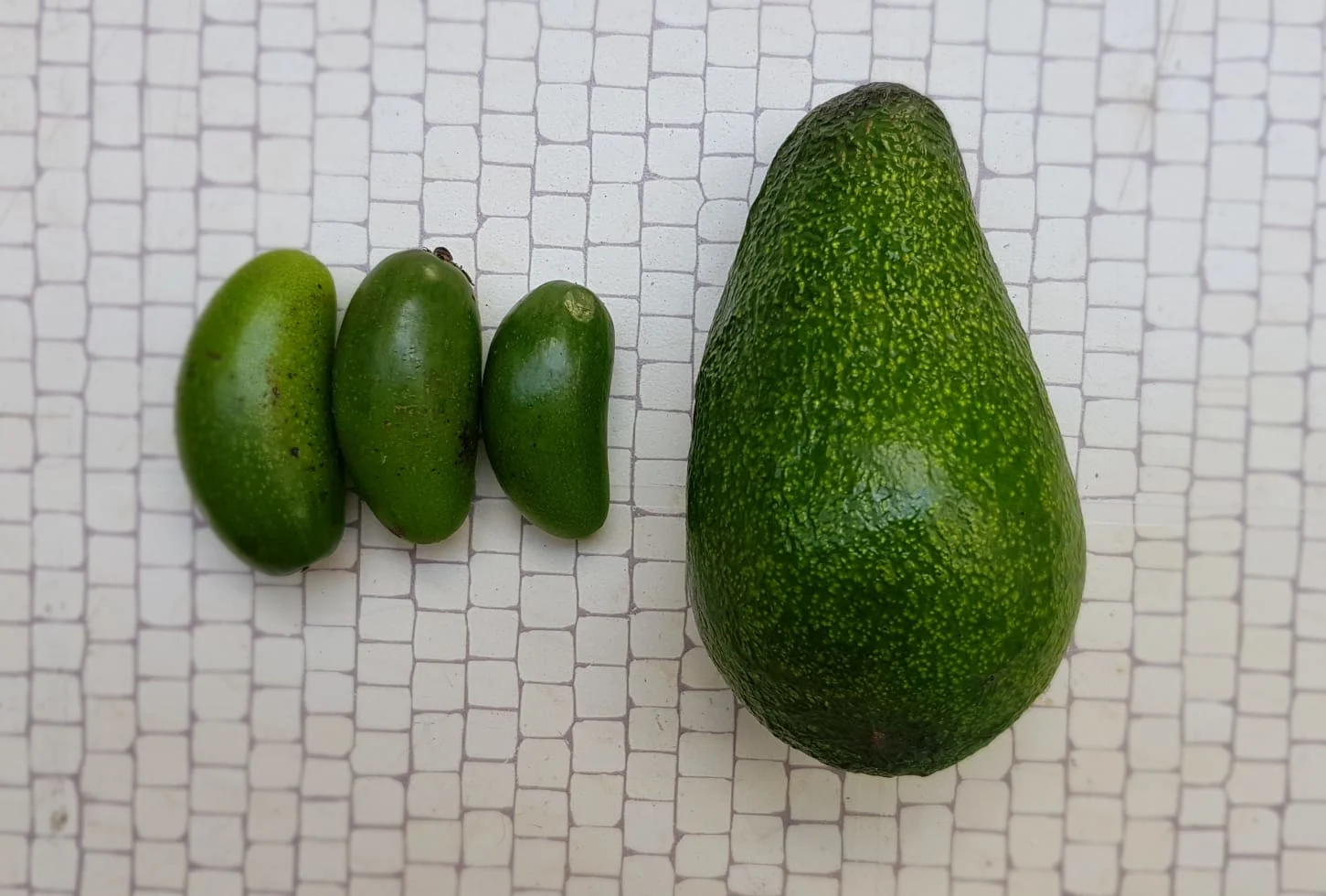 Whatsapp Image 2020 11 03 At 1