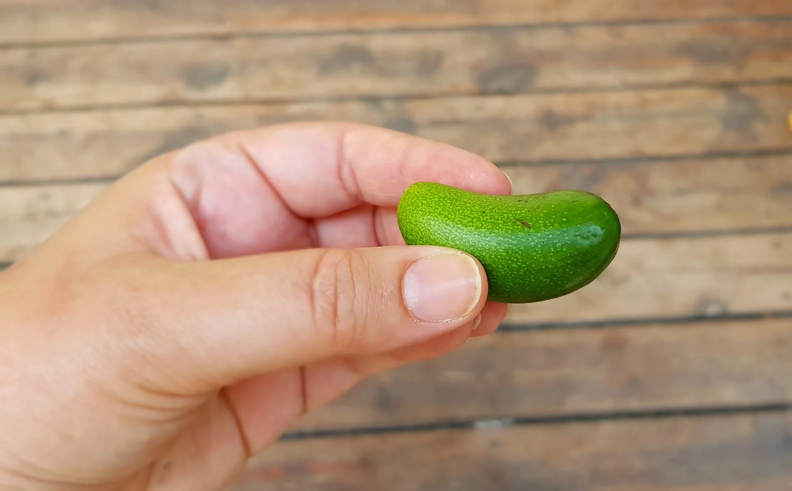 Whatsapp Image 2020 11 03 At 1