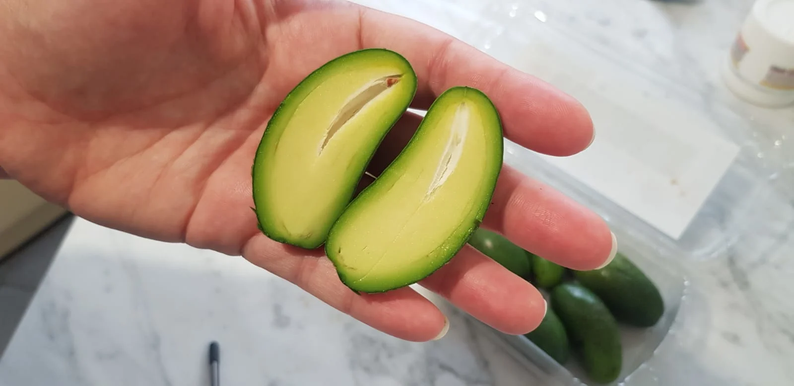 Whatsapp Image 2020 11 03 At 1