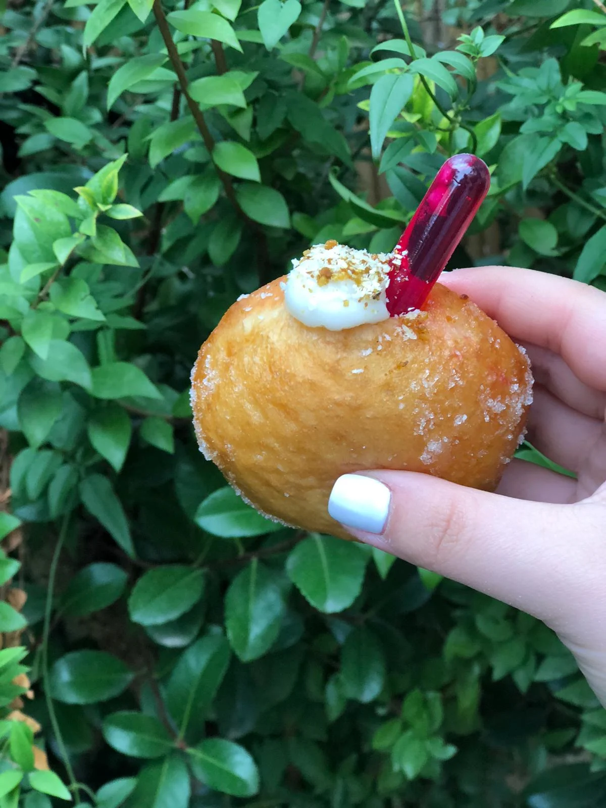 Whatsapp Image 2020 12 06 At 1