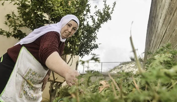 סדנת בישול דרוזית עם סבתא מאהא