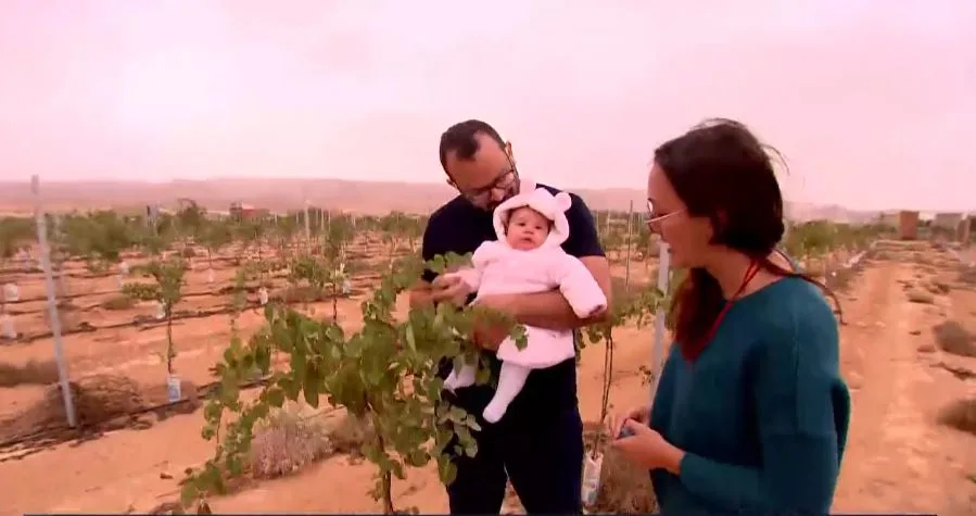 הזוגות שהעבירו את חייהם לנגב