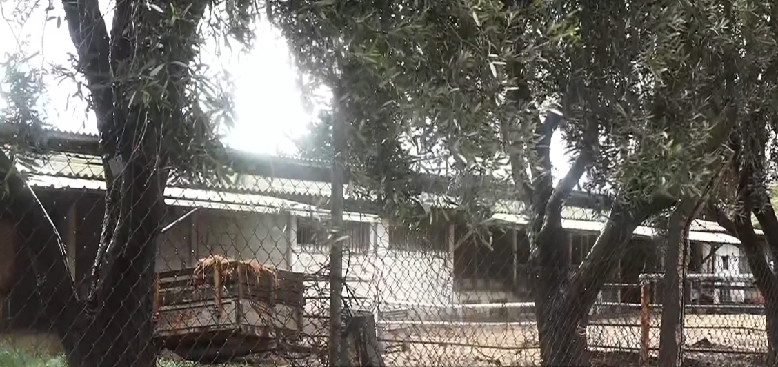 הקיבוץ שבו ע''פ החשד גבר הטריד מינית נערים