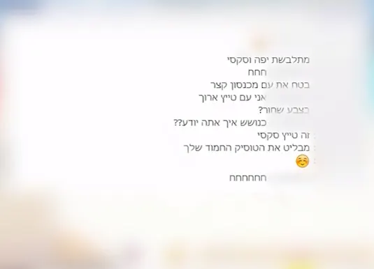 התכתבות בין סוכנת סמויה לחשוד בפדופיליה