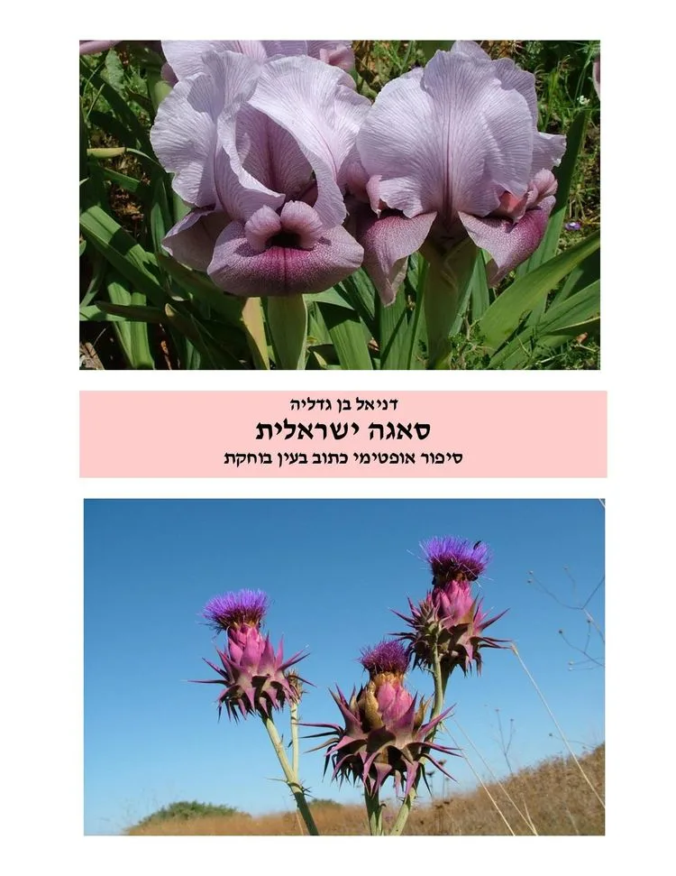 סאגה ישראלית: סיפור אופטימי כתוב בעין בוחקת | דניאל בן גדליה