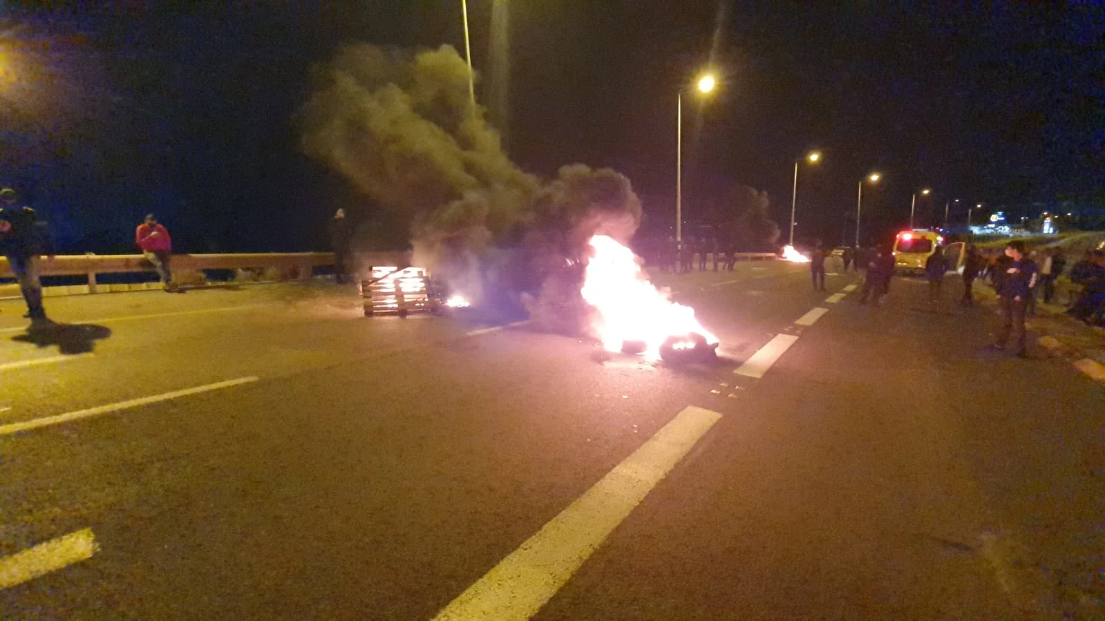 הפגנה, טמרה, מחאה