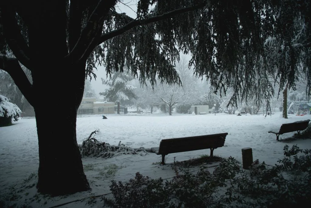 שלג במרום גולן