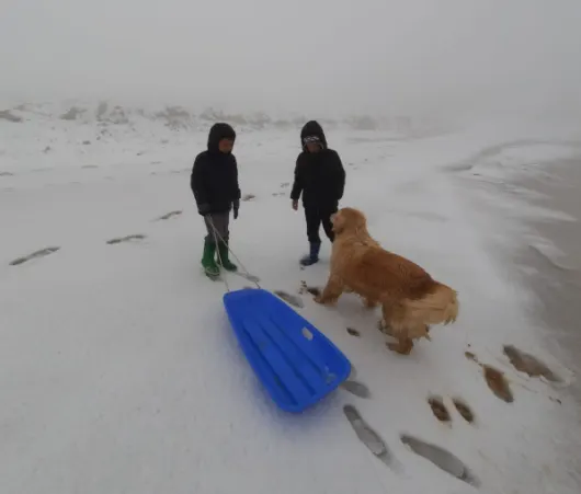 שלג בהר עמשא