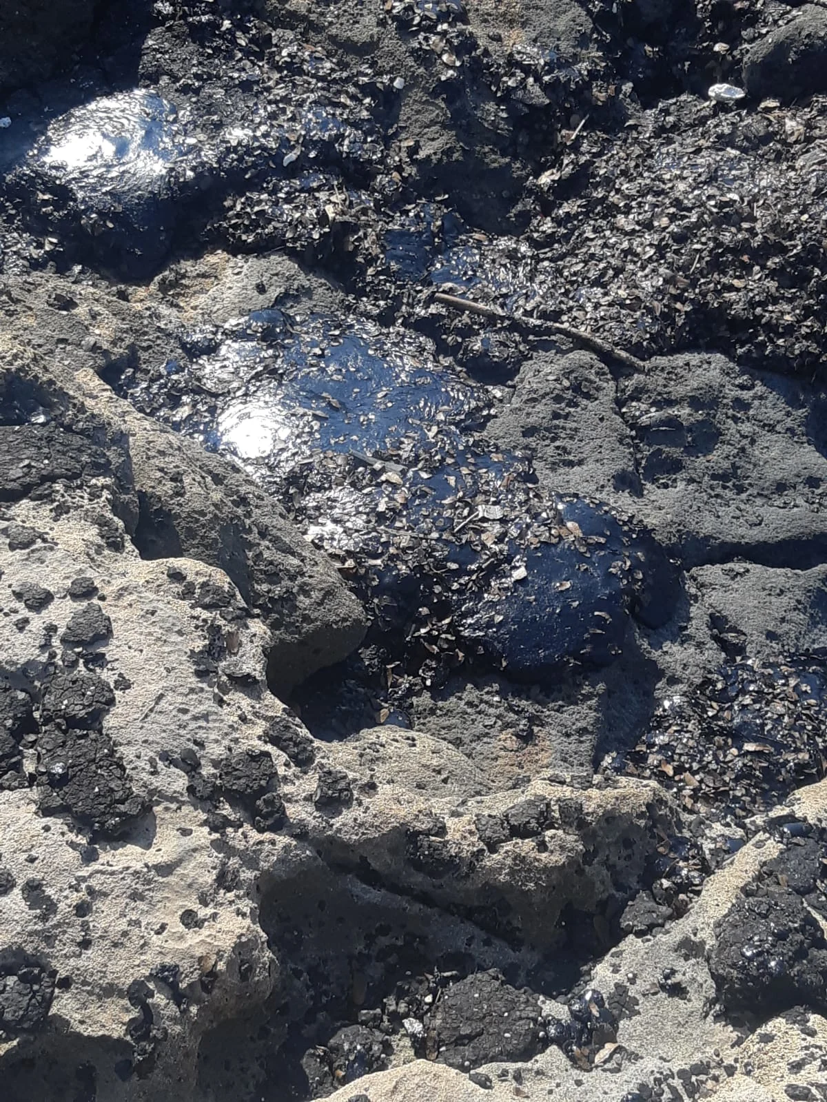 זיהום זפת בראש הנקרה