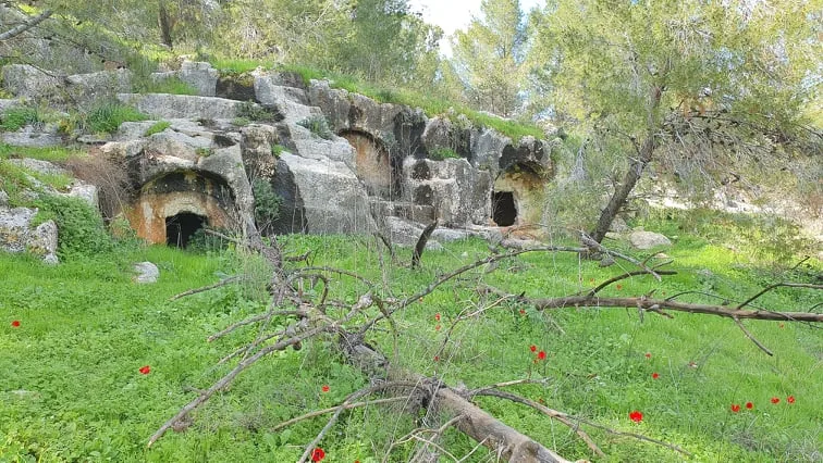 154544655 716097565684770 8382