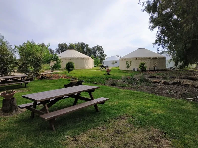 Whatsapp Image 2021 03 08 At 1