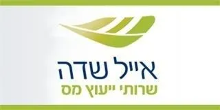 אייל שדה - שירותי ייעוץ מס