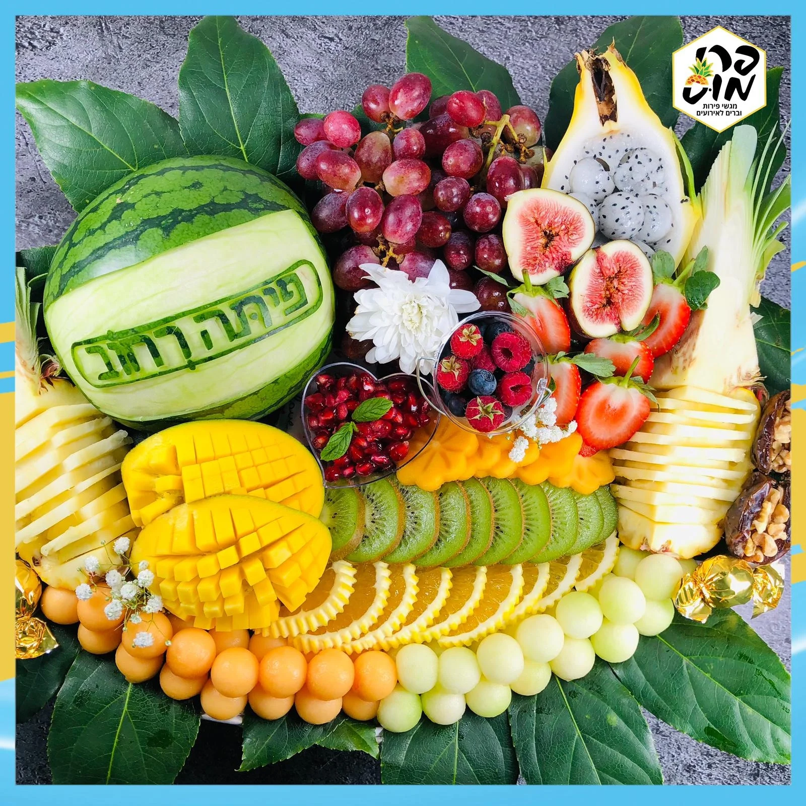 פרימוס מגשי פירות