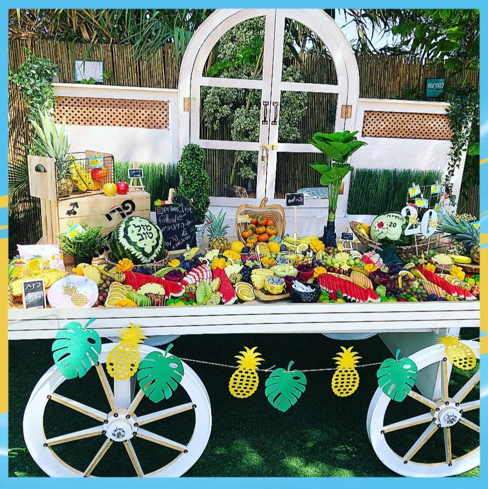 פרימוס מגשי פירות