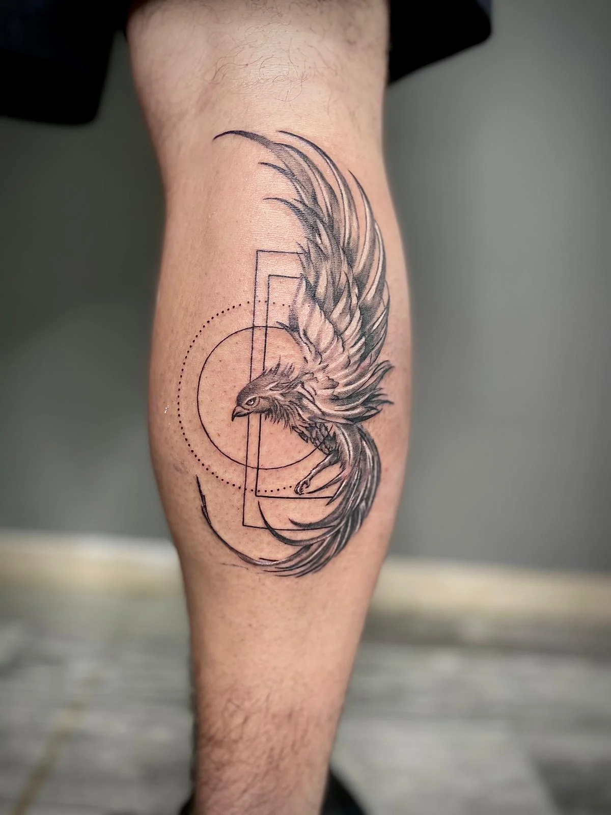 ציפור פניקס ריאלסטית בשילוב גאומטרי