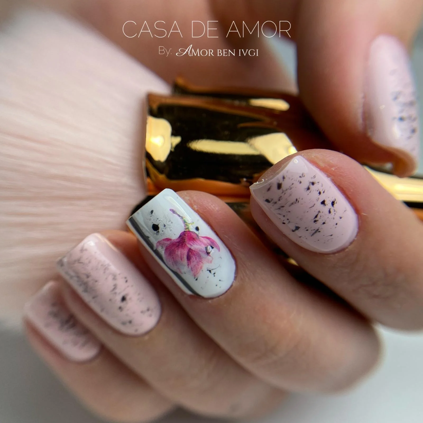 ציפרוניים ע''י אמור בן איבגי, בעלים casa se amor