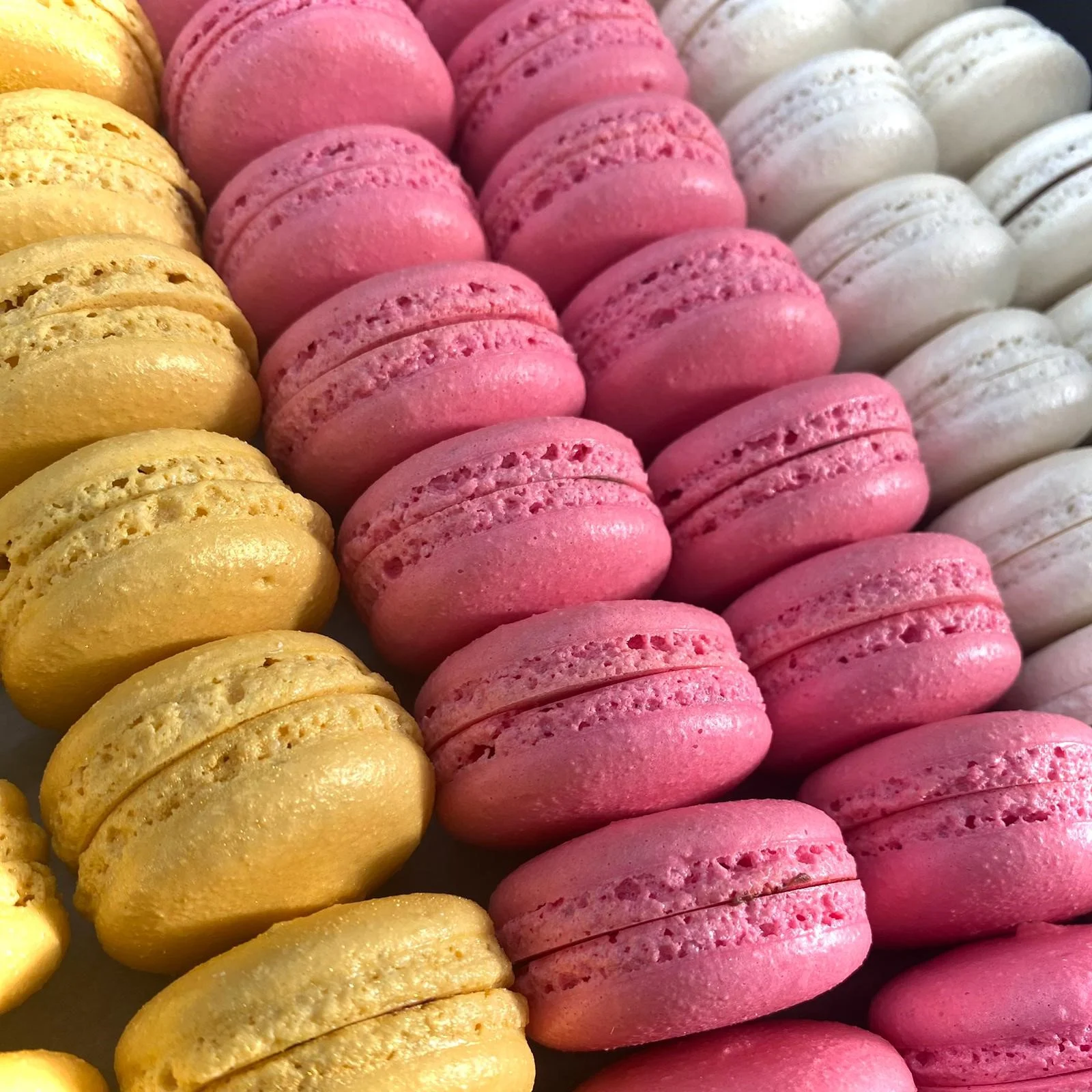 מקרוני של הדס שימול