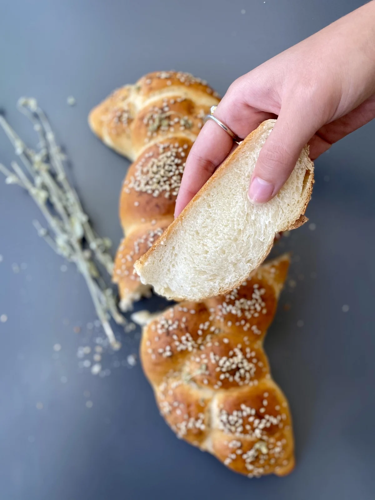 קוארסון יונת לוי