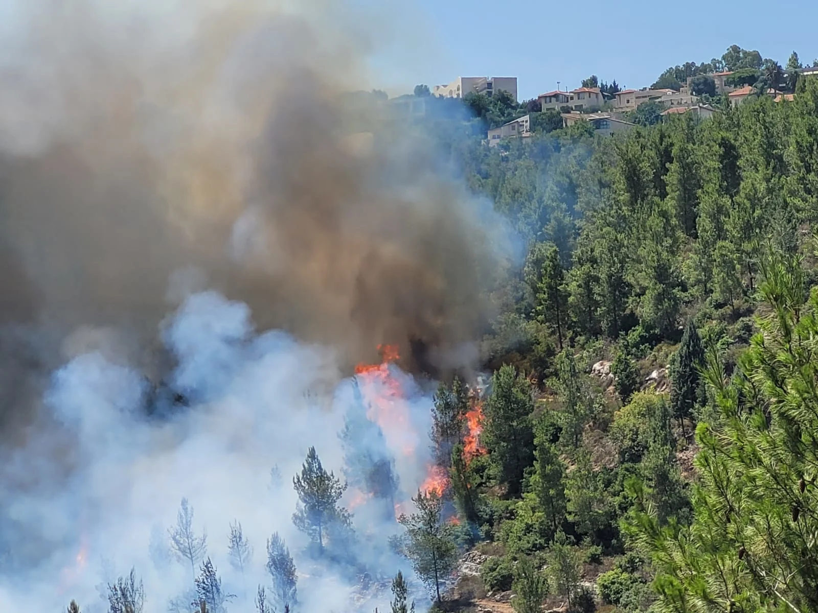 השריפה בהרי ירושלים