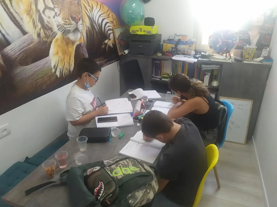 שיעור עם אלכס טורן מרכז למדיה למתמטיקה