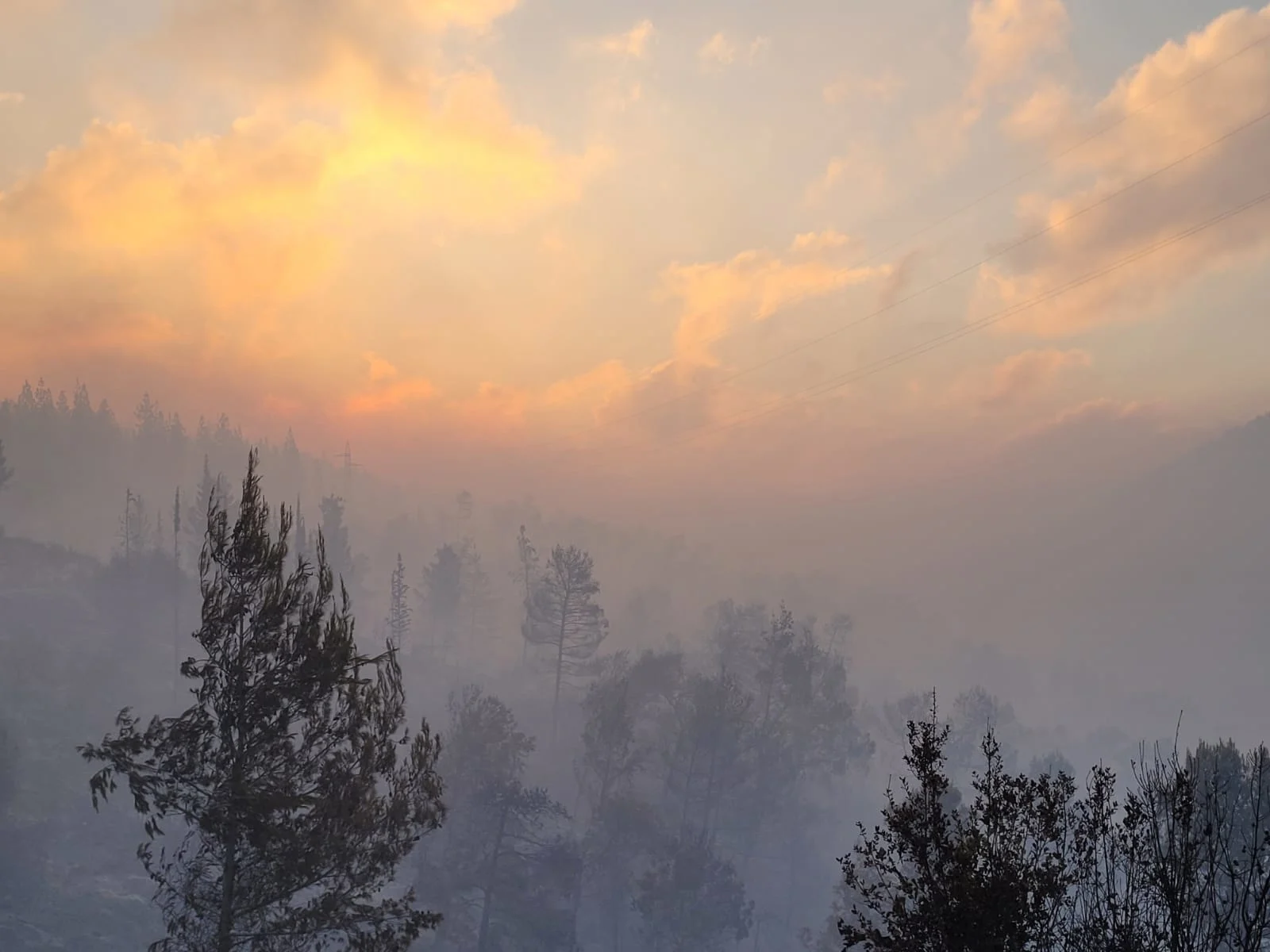 שריפה הרי ירושלים