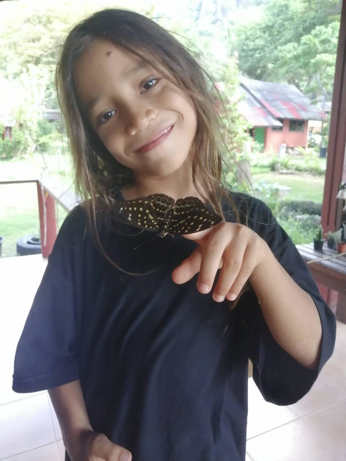 לי ים לוי, בן ה-9 שמת מצריבת מדוזה בתאילנד