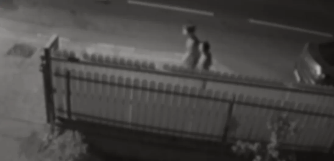 נער מואשם ברצח רצח נתניה עבריין מין חיים ויזמן