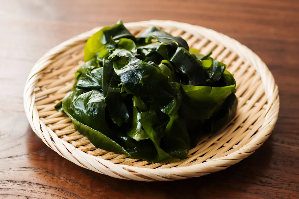 Wakame,seaweed