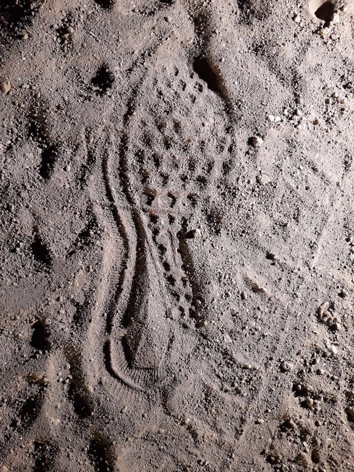 טביעות נעליים זכריא זביידי מחבל מעצר