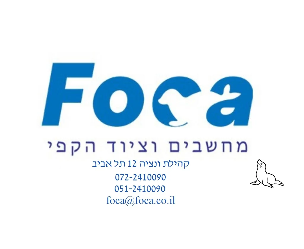 די.פי.סי טכנולוגיה