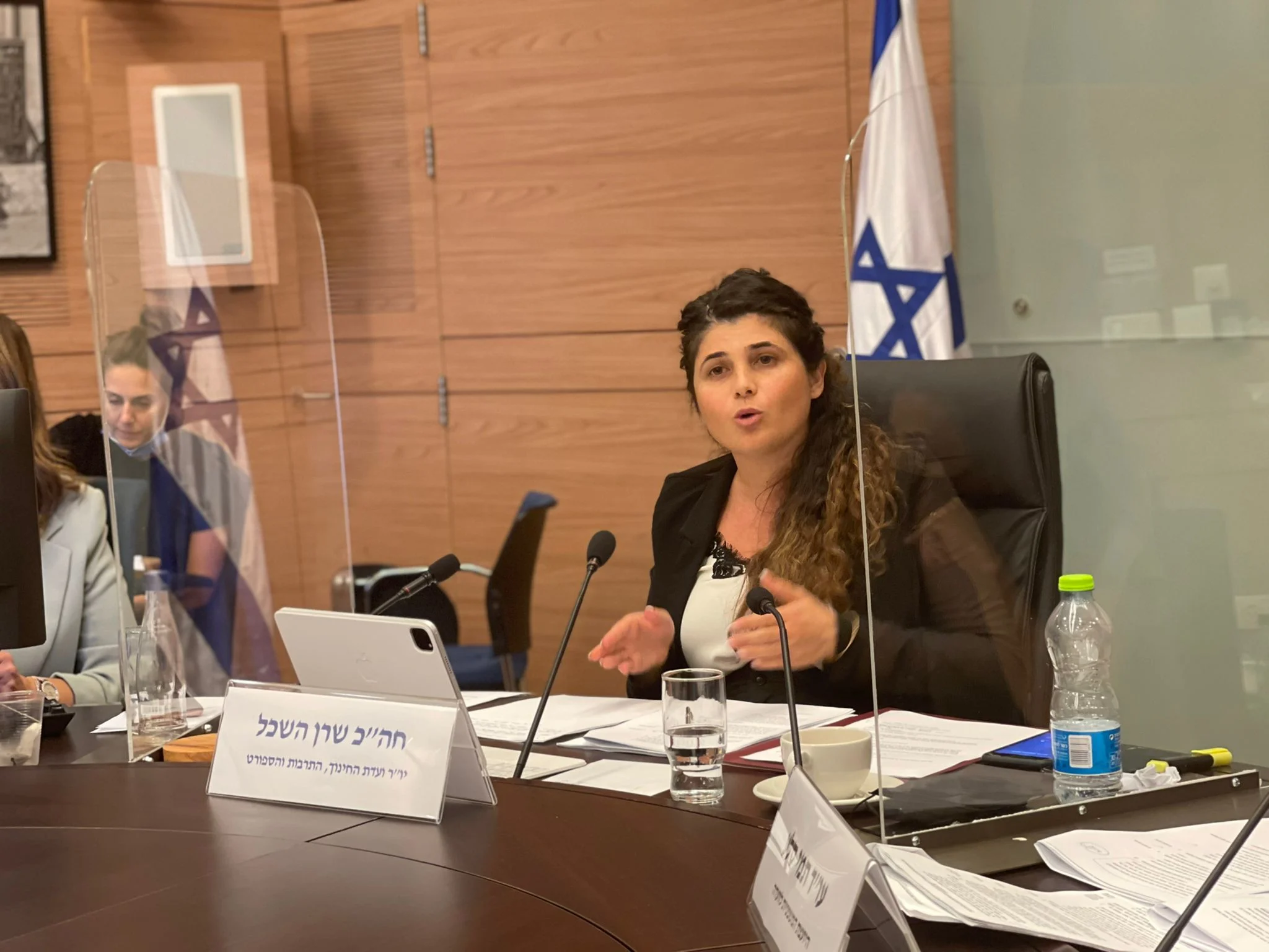 ח''כ שרן השכל