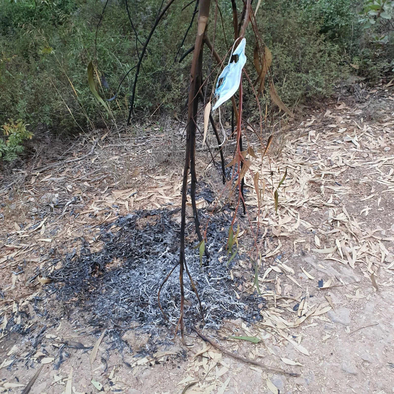 מוקד הצתה שלא התפשטה באזור