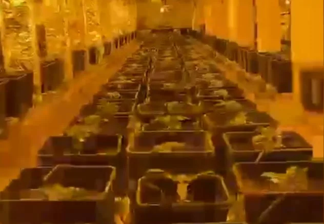 תיעוד ממנהרת קנאביס שנחשפה במושב עמיעוז