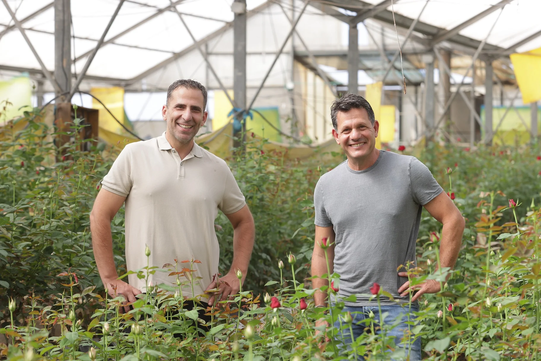 יואב בן יקר יור ביימי ורואי אליהו