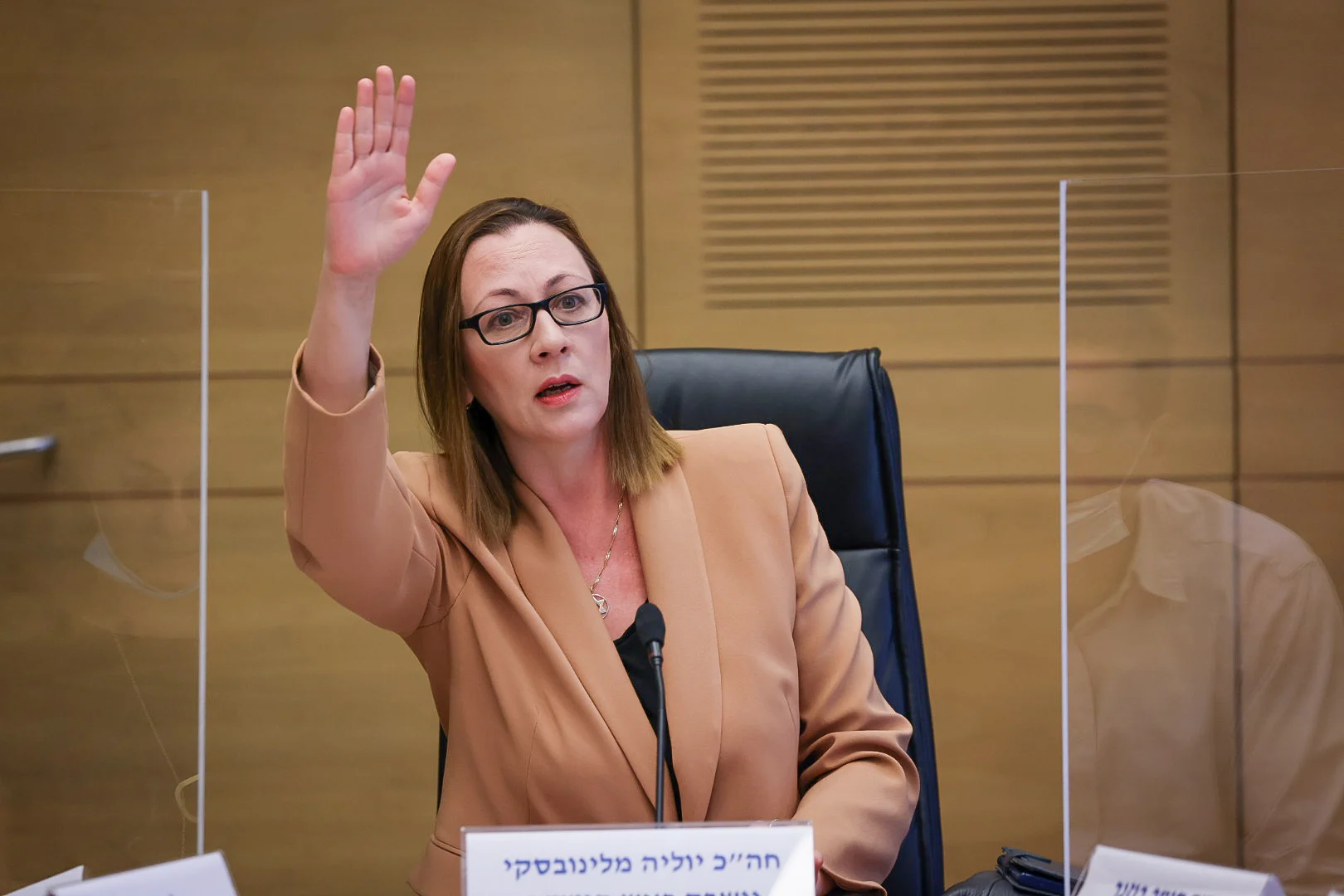 יוליה מלינובסקי בהצבעה על רפורמת הכשרות