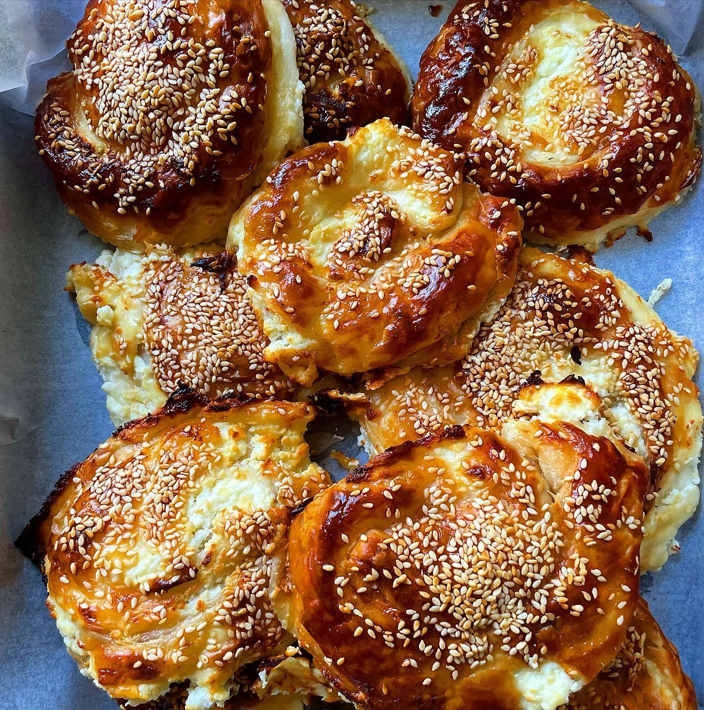 Whatsapp Image 2021 11 01 At 1