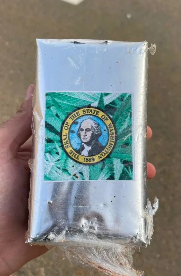 Whatsapp Image 2021 11 11 At 1