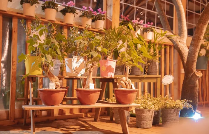 הכניסה לבית קפה ג'וחא