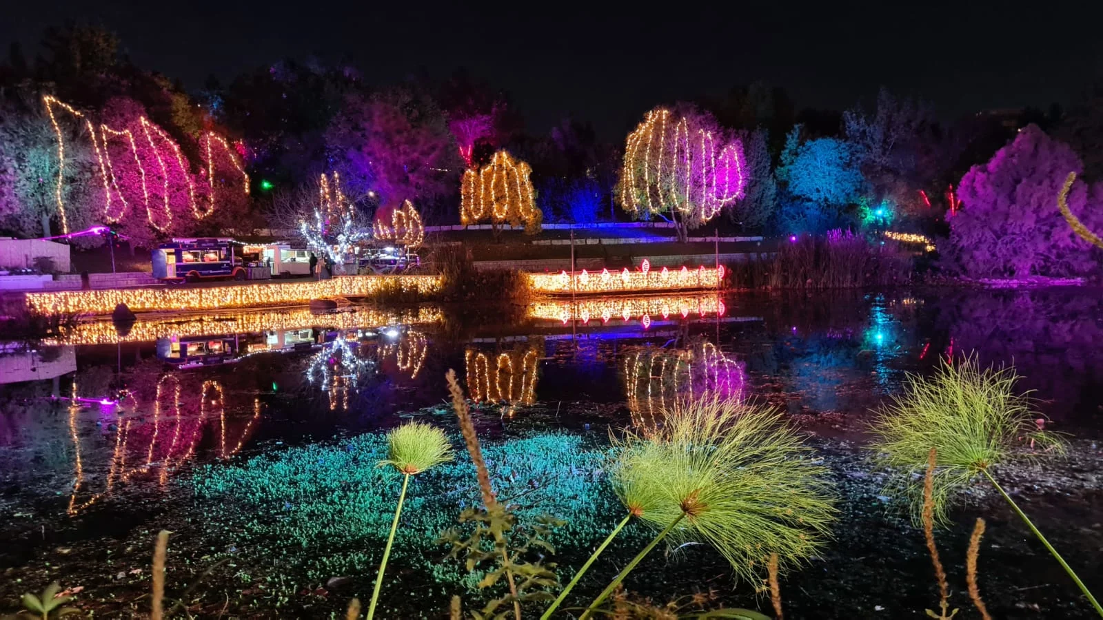 Photo 2021 12 01 17 50 13