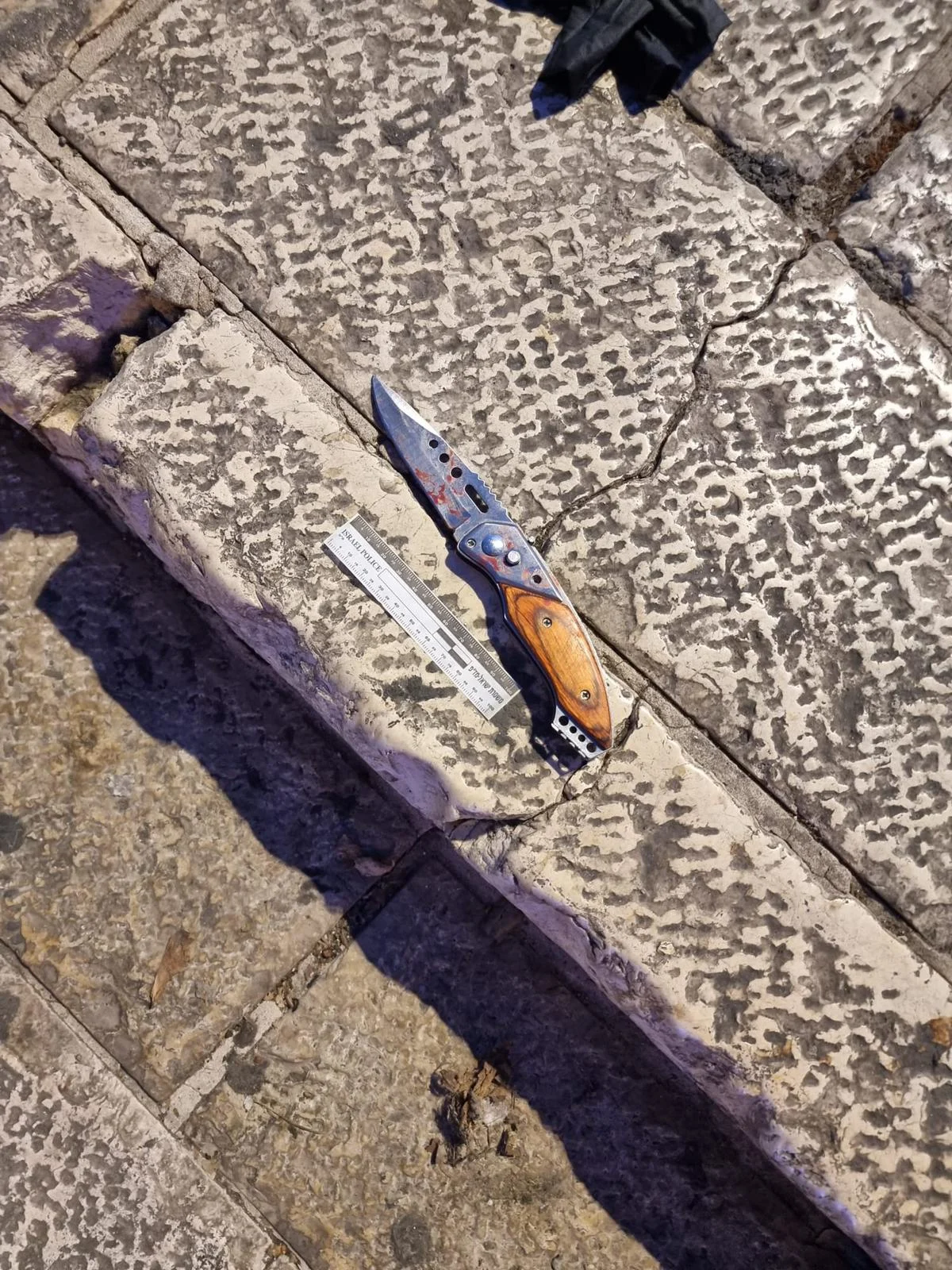 Whatsapp Image 2021 12 04 At 1