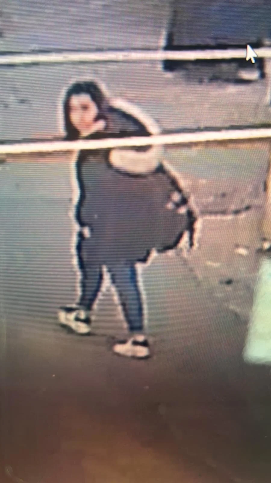 החשודה בדקירה