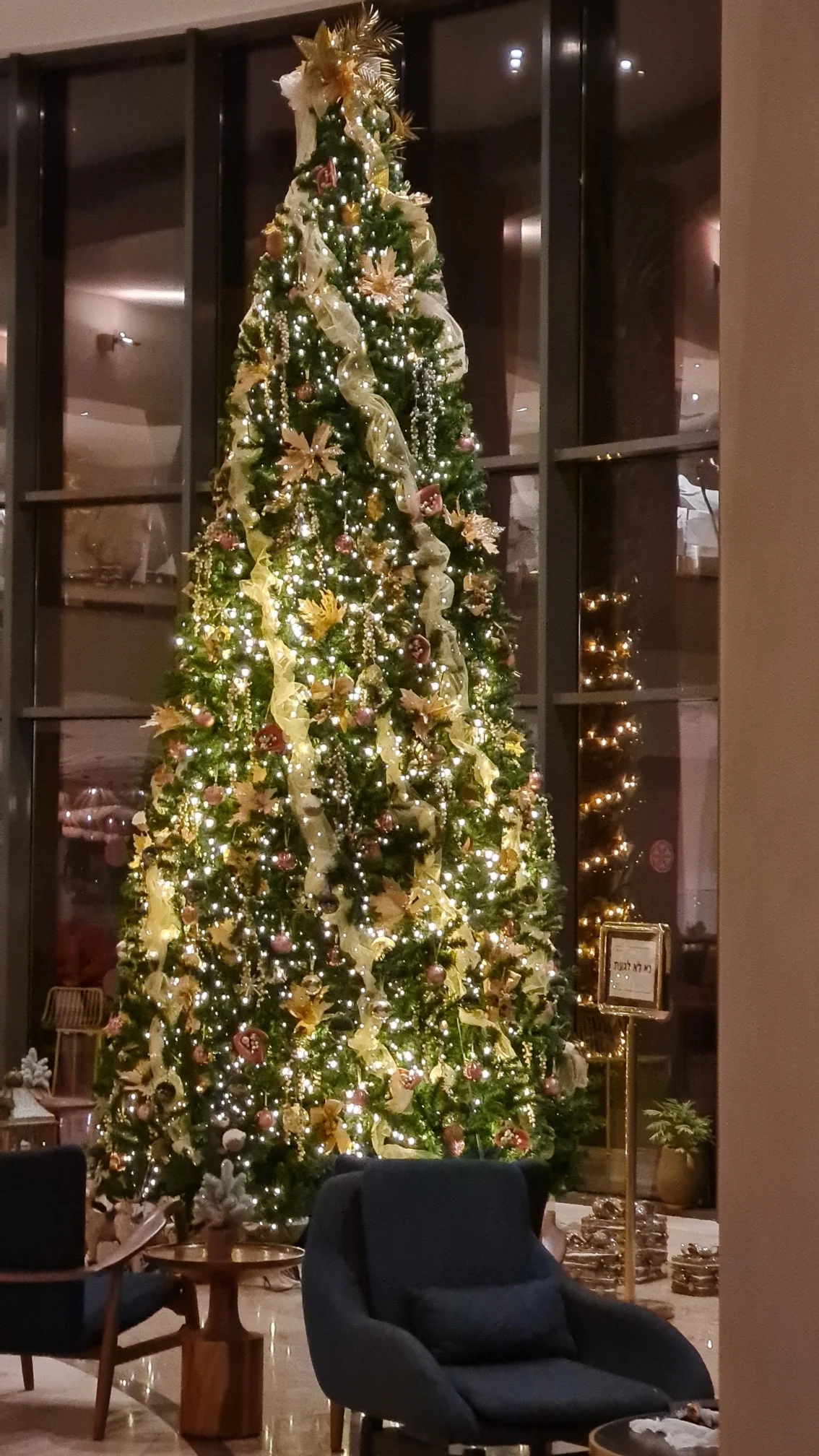 20211202 190356 Resized