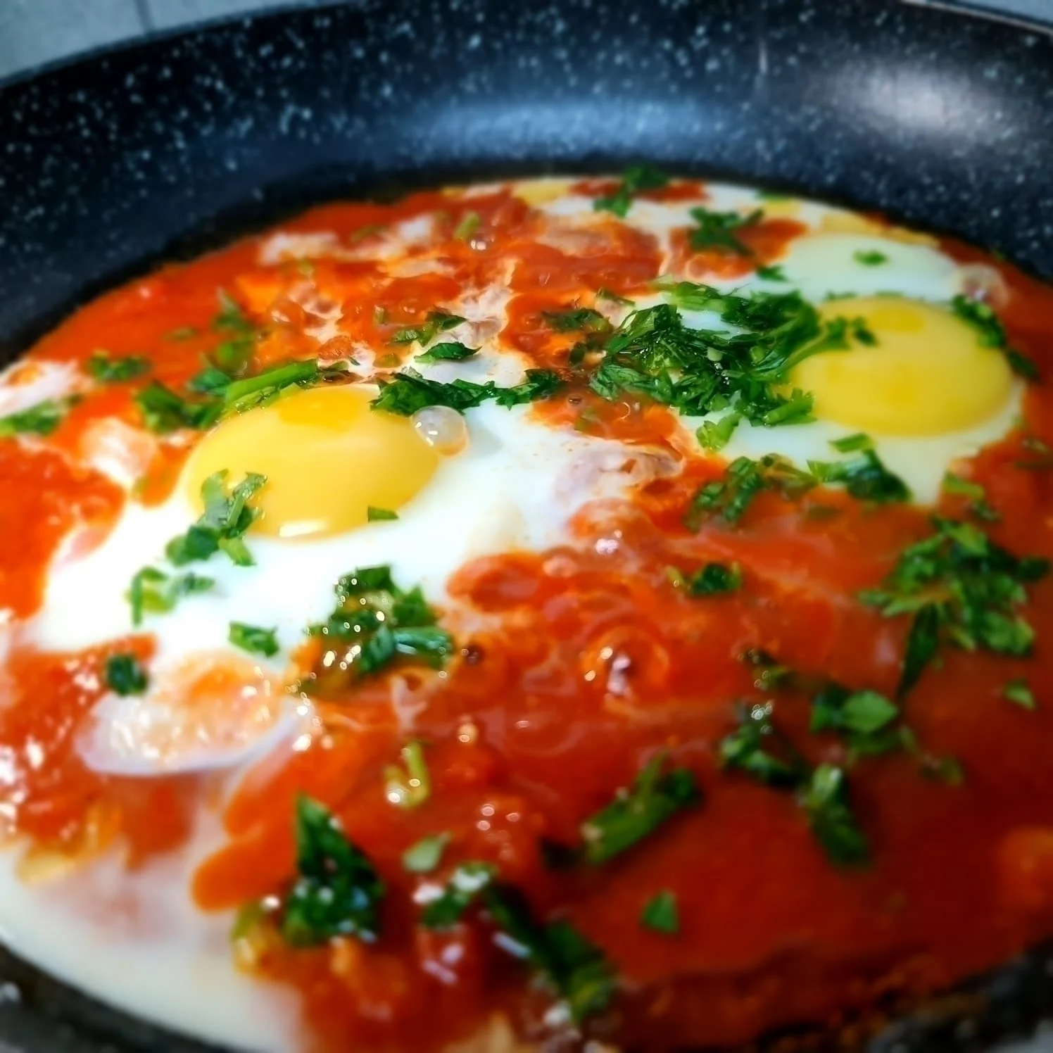 מנת שקשוקה במסעדת רוזיתה