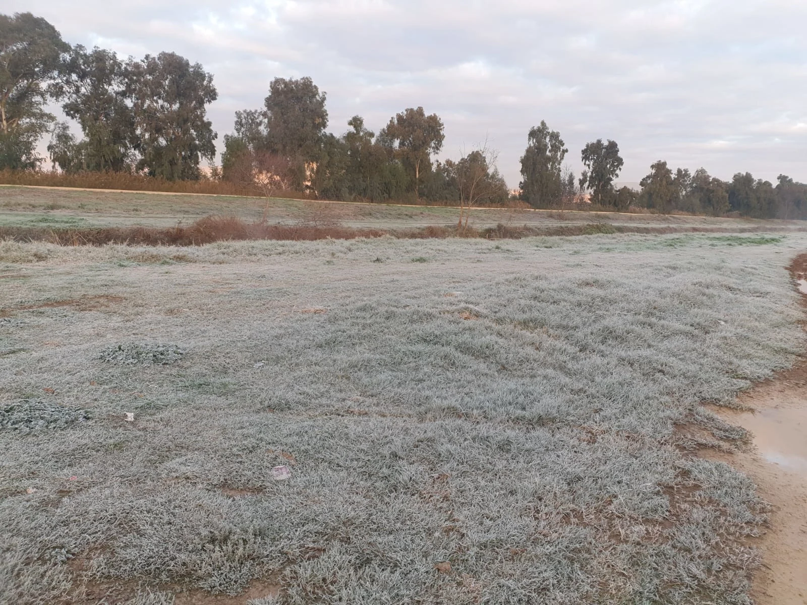 קרה על שטחי החקלאות והבר ביסוד המעלה