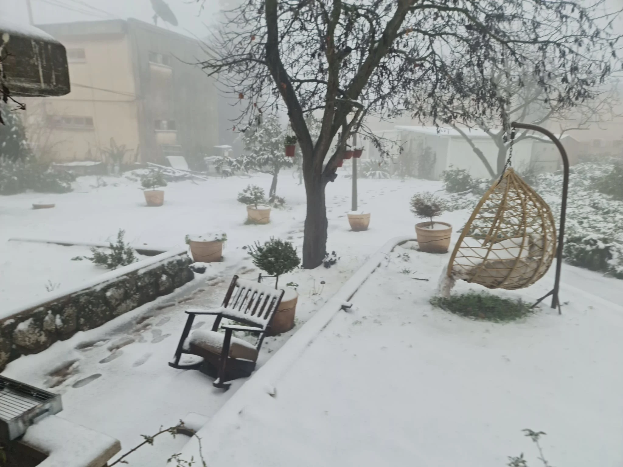 Whatsapp Image 2022 01 19 At 0