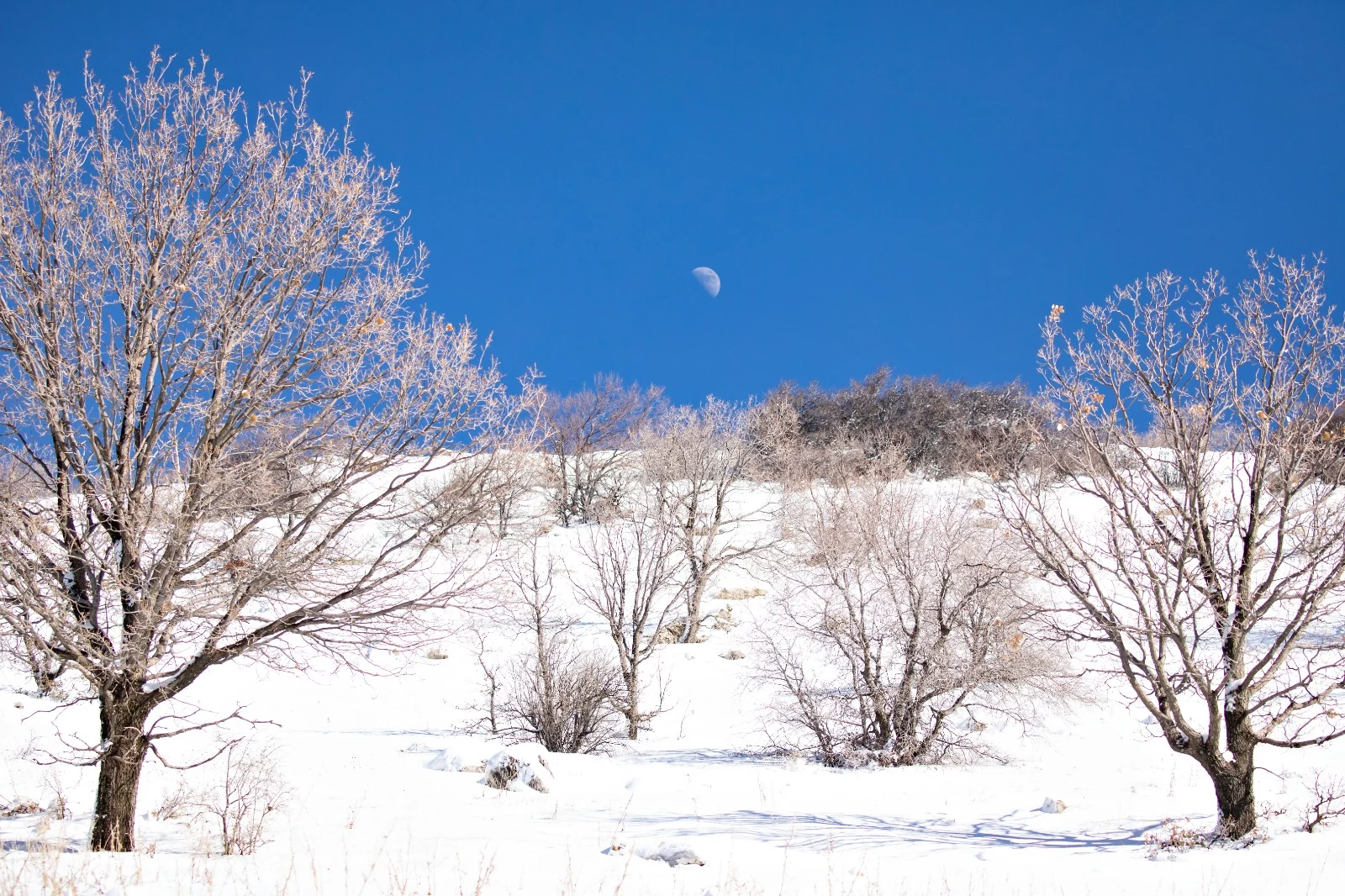 267816921 10159808090982899 42