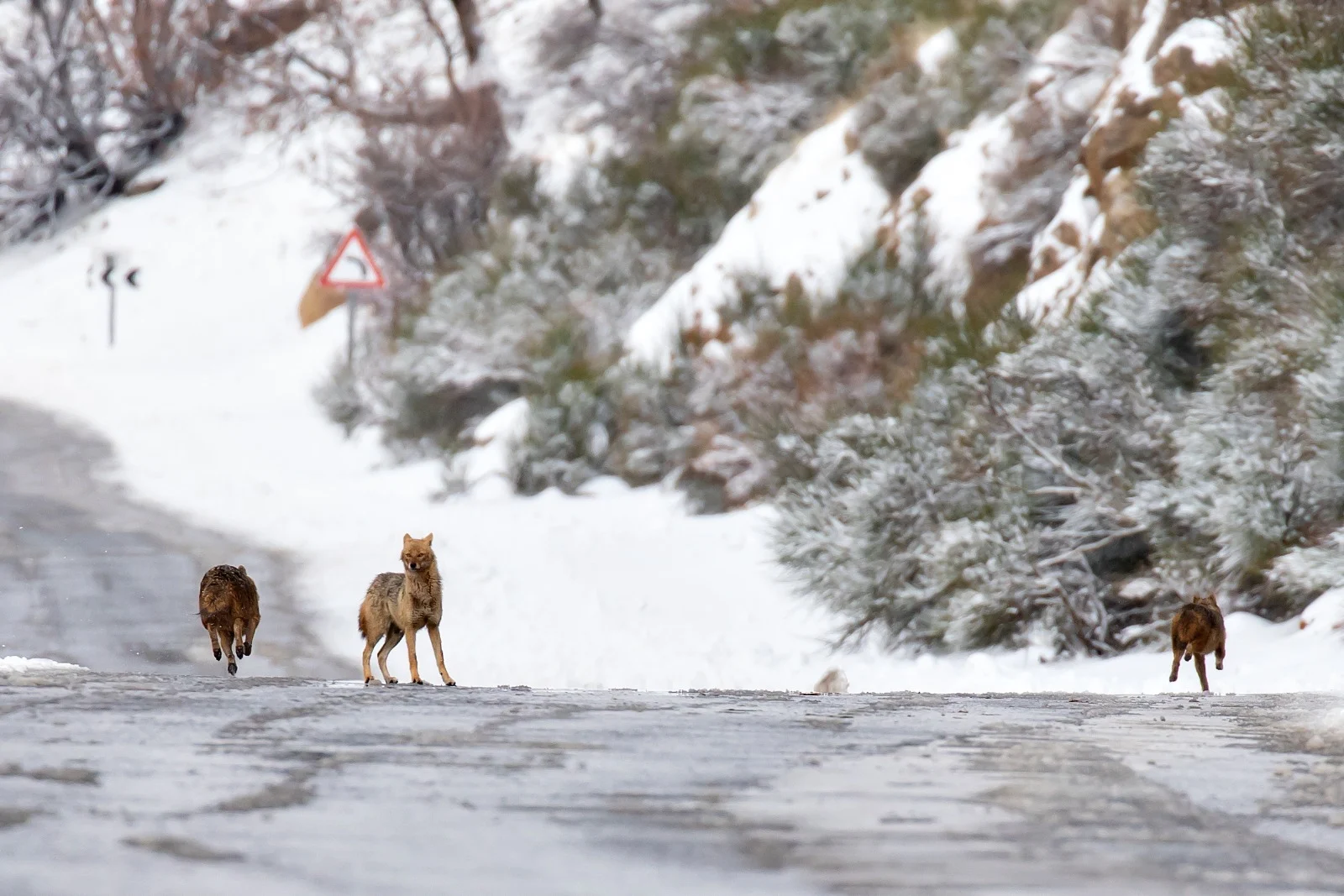 272090046 10159808090942899 90