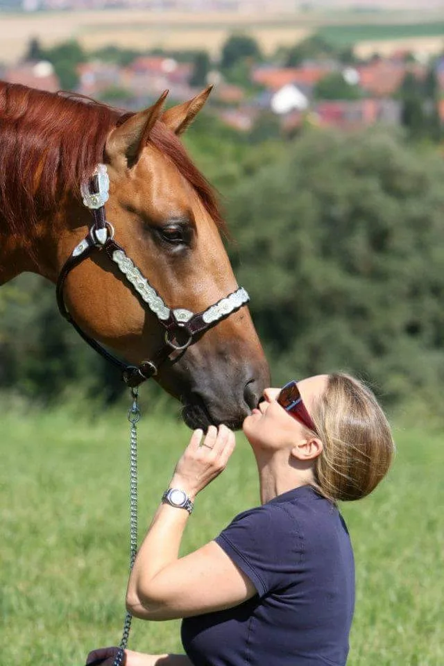 החיבור עם הסוסים בAll4horses